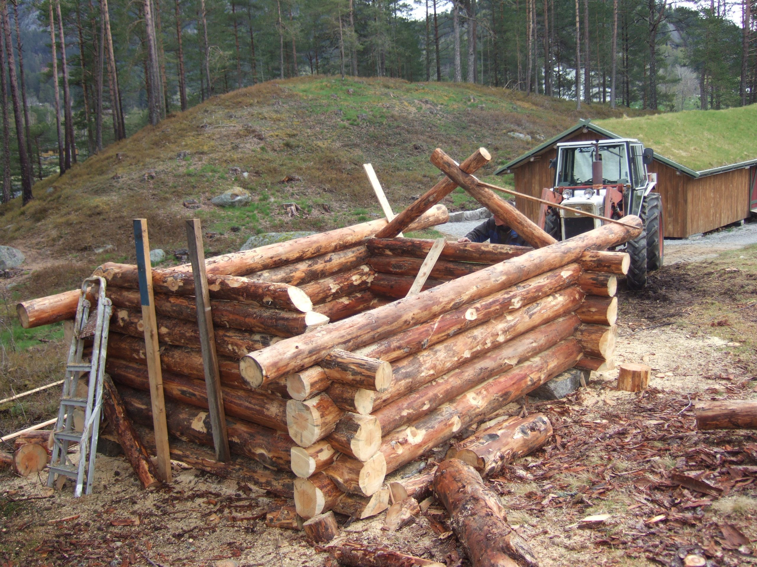 2008_11292010vår0153