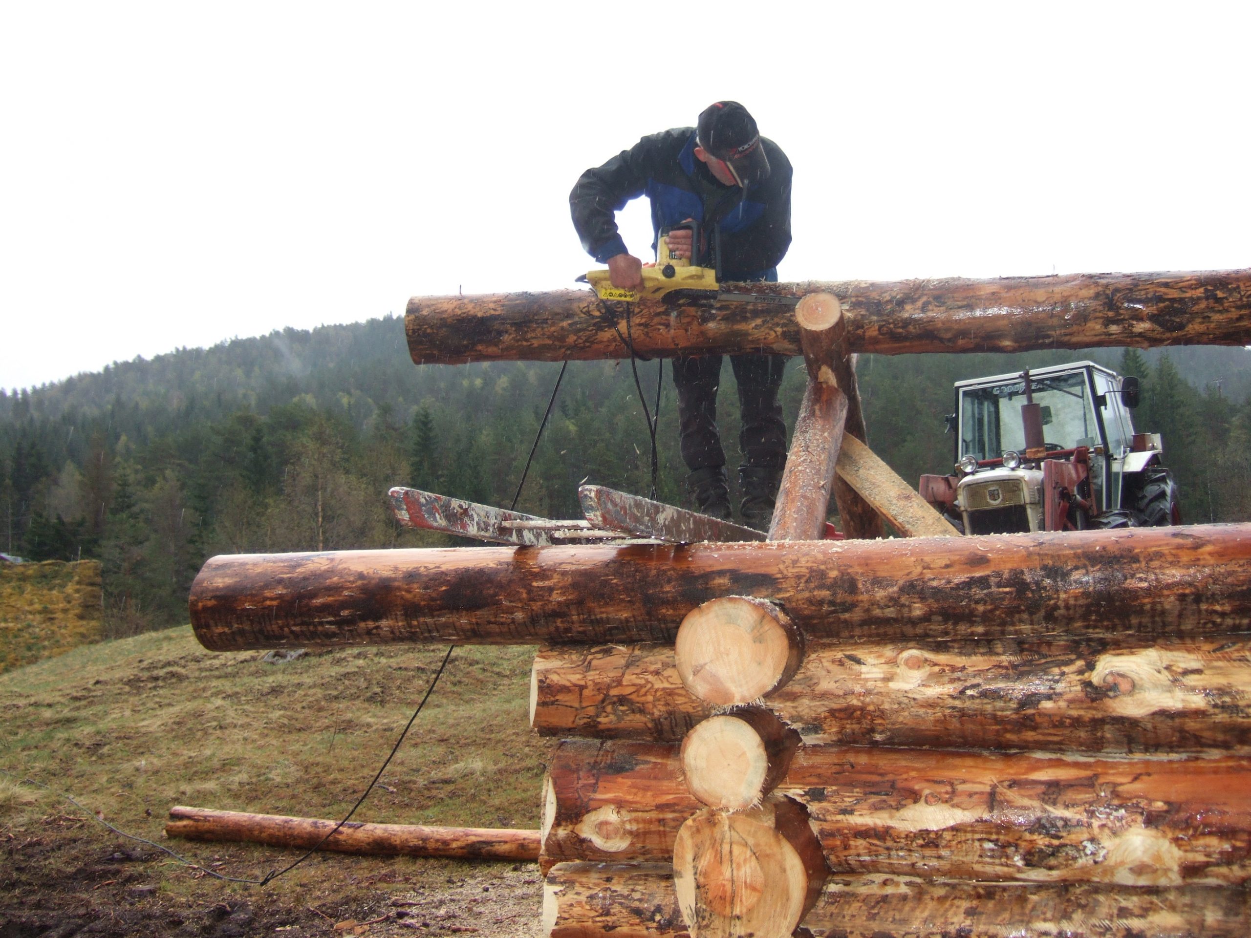 2008_11292010vår0155